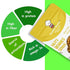 Healthy Master Roasted Soya Nuts | Garlic Flavour